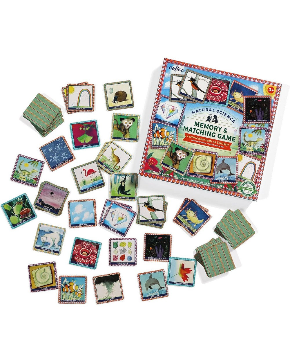 eeBoo Natural Science Matching Game – Educational Card Game for Kids, Fun Learning Activity, Nature-Themed, Family-Friendly