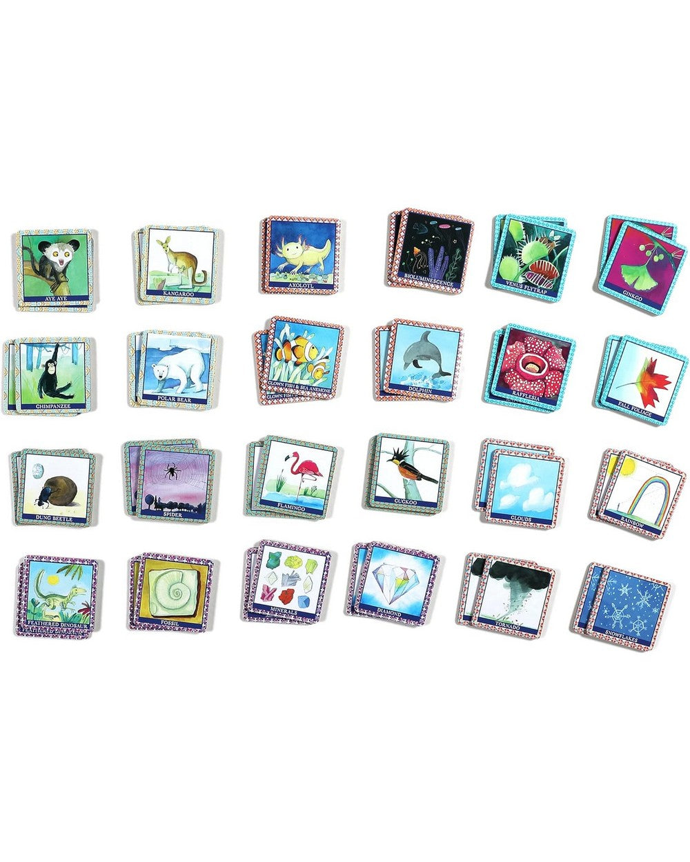eeBoo Natural Science Matching Game – Educational Card Game for Kids, Fun Learning Activity, Nature-Themed, Family-Friendly