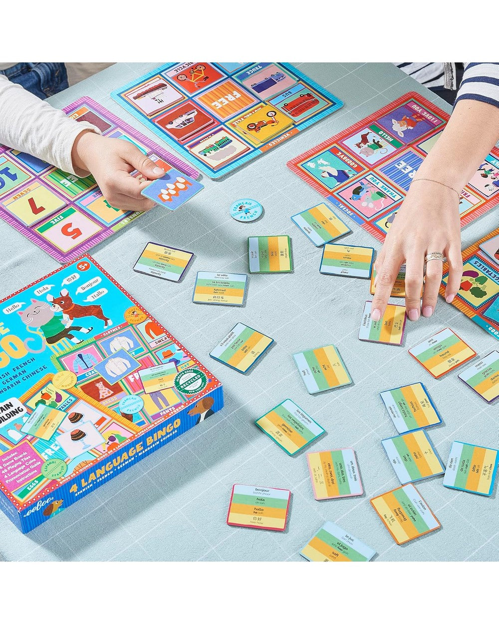 eeBoo 4 Language Bingo – Educational Family Game, Fun Multilingual Learning, Kids' Language Skills, Interactive Play for 2-4 Players