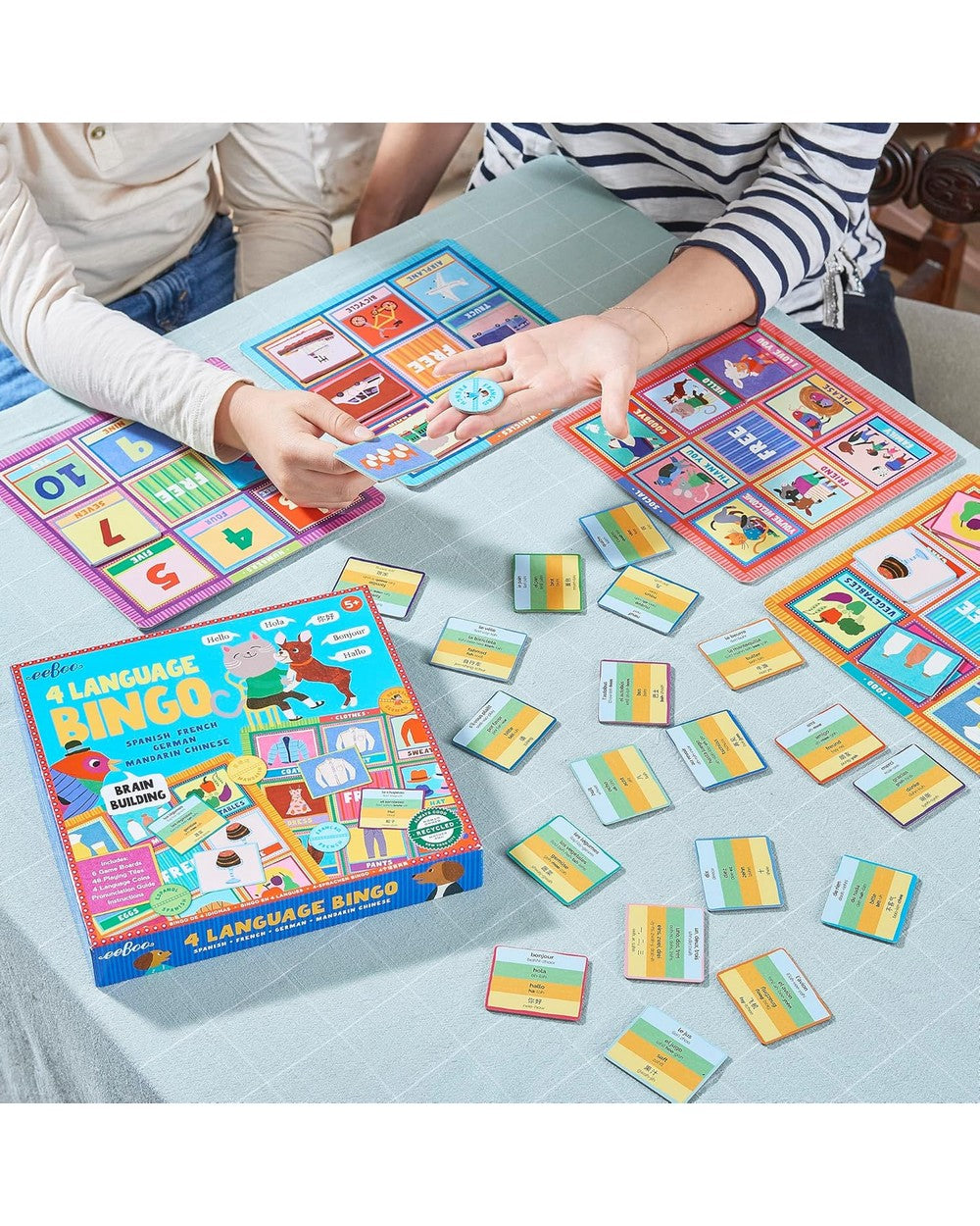 eeBoo 4 Language Bingo – Educational Family Game, Fun Multilingual Learning, Kids' Language Skills, Interactive Play for 2-4 Players