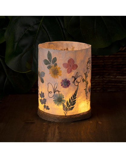 Anna Williams Craft Crush Nature Lantern Kit – DIY Craft Kit for Creating Botanical-Inspired Lanterns, Perfect for Home Decor & Nature Lovers