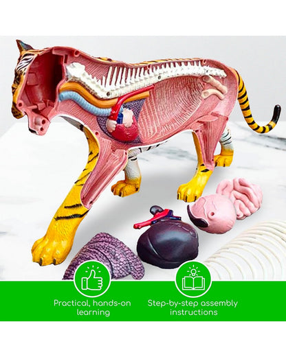 Thames & Kosmos Tiger Kit - Wildlife Exploration Set, Educational STEM Toy, Learn About Tigers, Interactive Animal Discovery for Kids