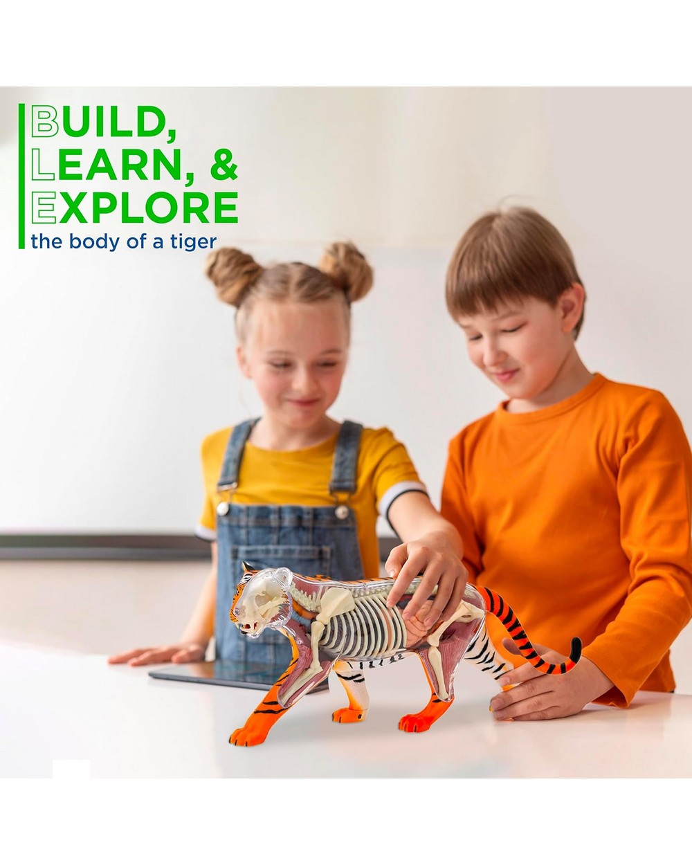 Thames & Kosmos Tiger Kit - Wildlife Exploration Set, Educational STEM Toy, Learn About Tigers, Interactive Animal Discovery for Kids