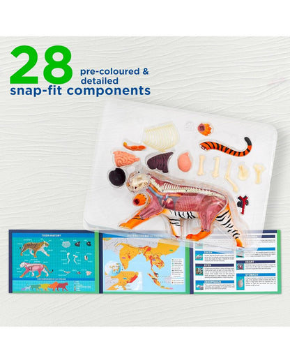 Thames & Kosmos Tiger Kit - Wildlife Exploration Set, Educational STEM Toy, Learn About Tigers, Interactive Animal Discovery for Kids