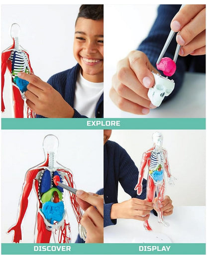 Discovery Toy Human Anatomy Kit - Educational Science Set, Learn About the Human Body, Interactive Anatomy Model, STEM Learning Toy