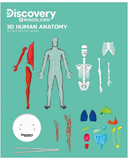 Discovery Toy Human Anatomy Kit - Educational Science Set, Learn About the Human Body, Interactive Anatomy Model, STEM Learning Toy