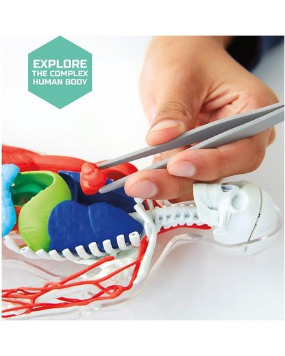 Discovery Toy Human Anatomy Kit - Educational Science Set, Learn About the Human Body, Interactive Anatomy Model, STEM Learning Toy