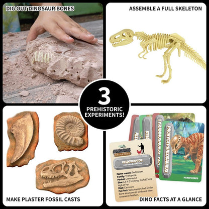 SpiceBox Dinosaurs Unearthed – Kids Educational Dinosaur Dig & Activity Kit
