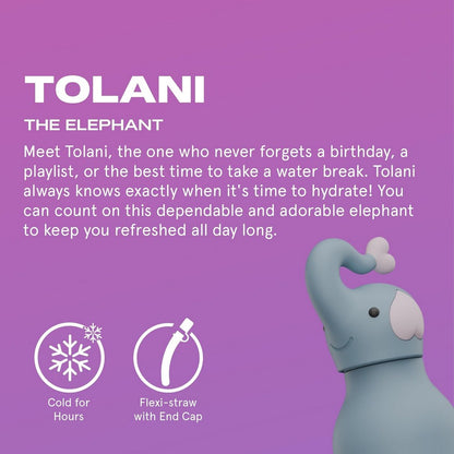 Asobu Elephant Bestie Bottle 16oz – Stainless Steel Kids Water Bottle, Cute Elephant Design, Leak-Proof, Easy to Carry, Ideal for School, Travel & Everyday Use