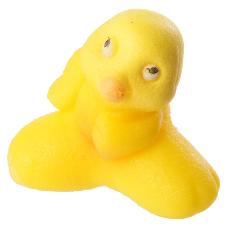 Puckator Chicken Hatching Egg Toy – Interactive Educational Dinosaur Egg Hatch Kit for Kids, Assorted - 1 Piece