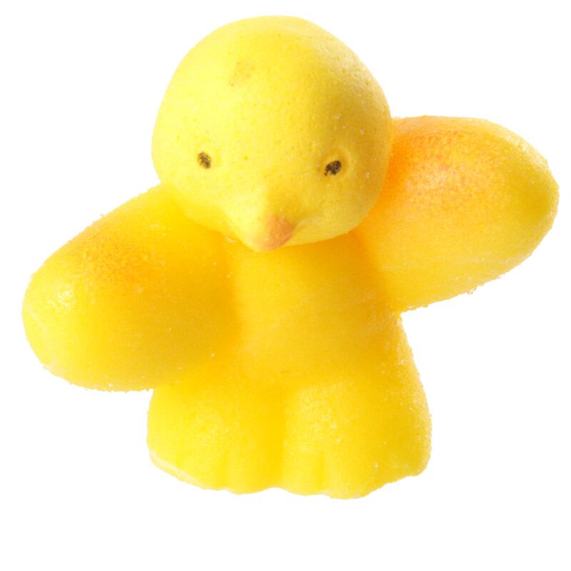 Puckator Chicken Hatching Egg Toy – Interactive Educational Dinosaur Egg Hatch Kit for Kids, Assorted - 1 Piece