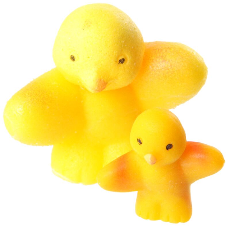 Puckator Chicken Hatching Egg Toy – Interactive Educational Dinosaur Egg Hatch Kit for Kids, Assorted - 1 Piece