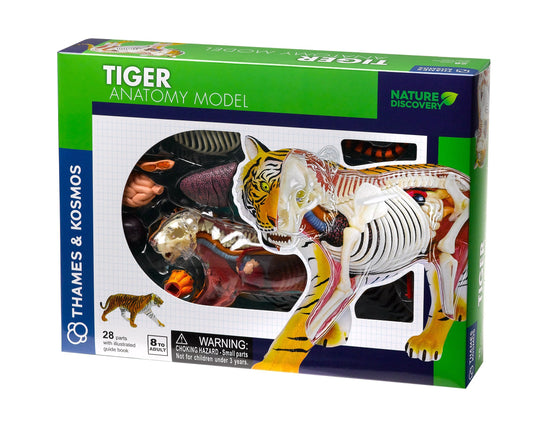 Thames & Kosmos 261050 Tiger Anatomy Model Toy, Multi