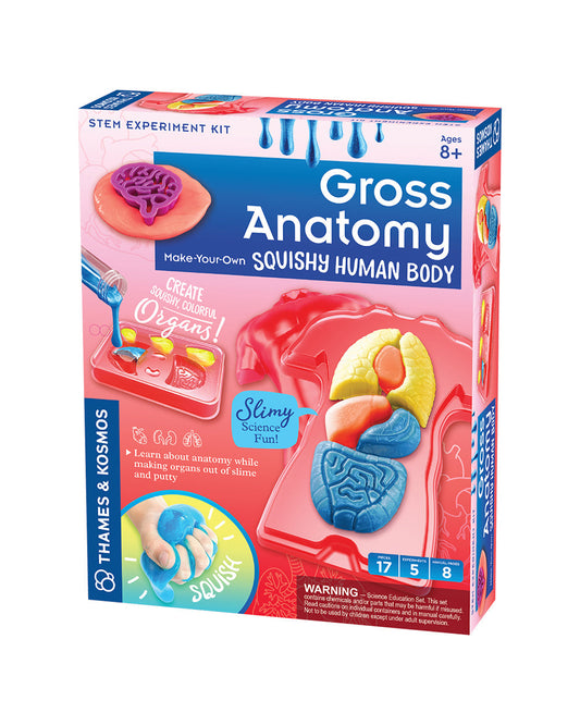 Thames & Kosmos Gross Anatomy STEM Experiment Kit