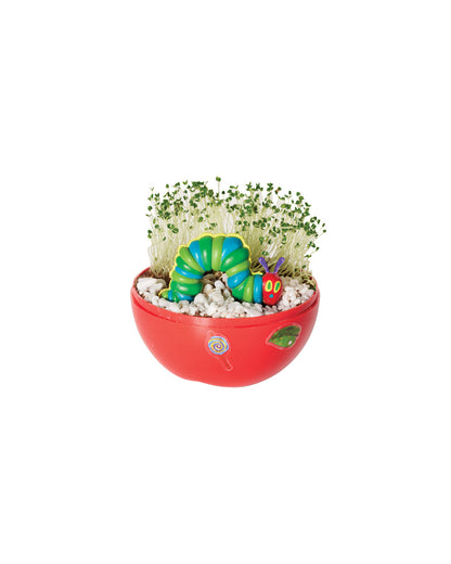 Creativity for Kids The Very Hungry Caterpillar Ready to Grow Garden